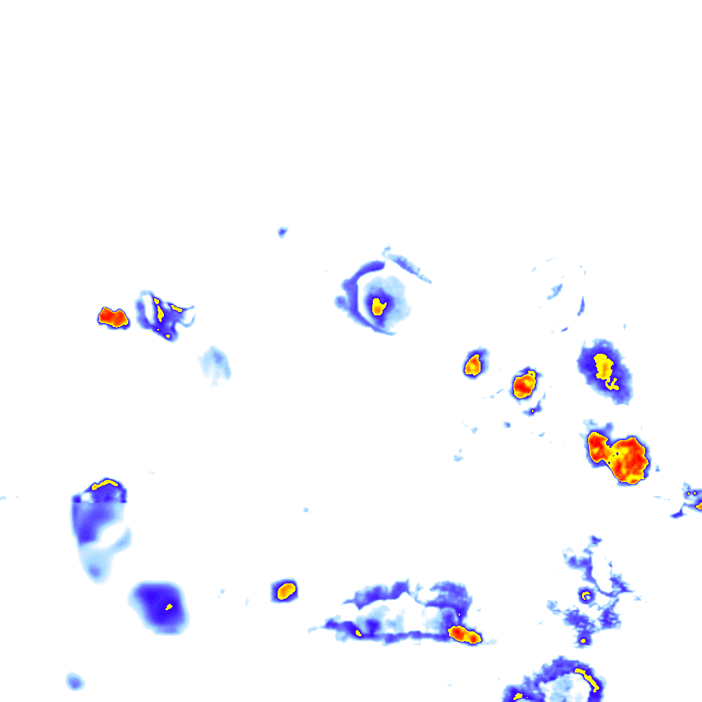 rainLayer
