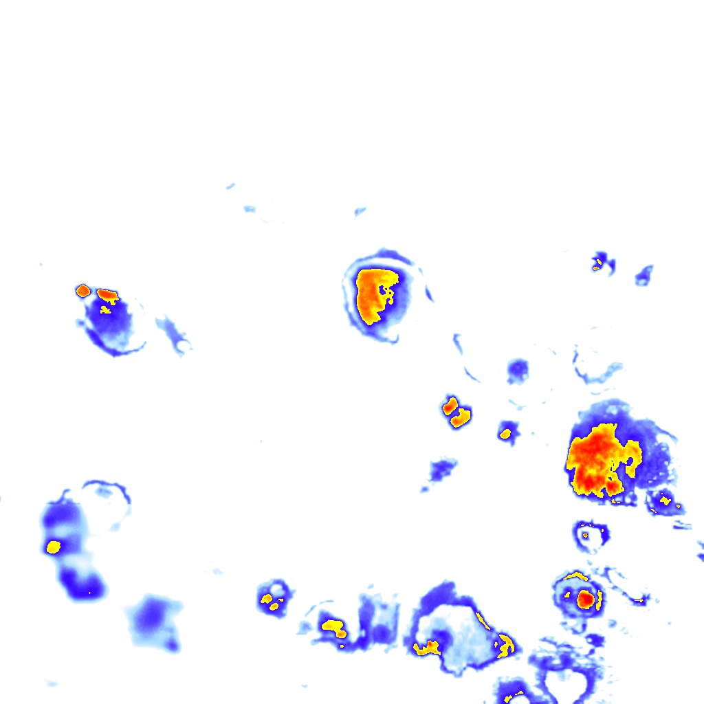 Image Layer