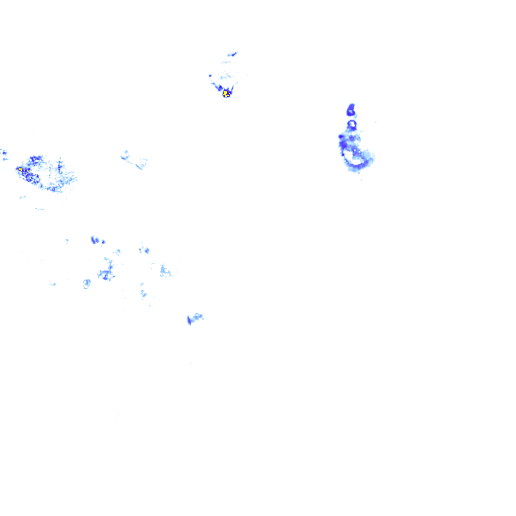 rainLayer