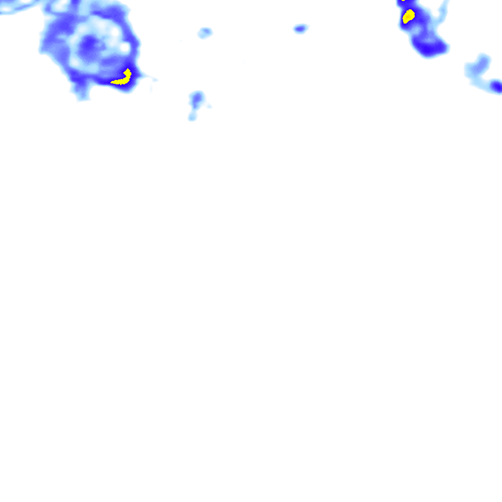 rainLayer
