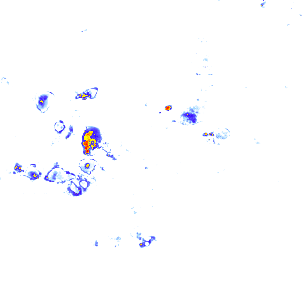 Image Layer