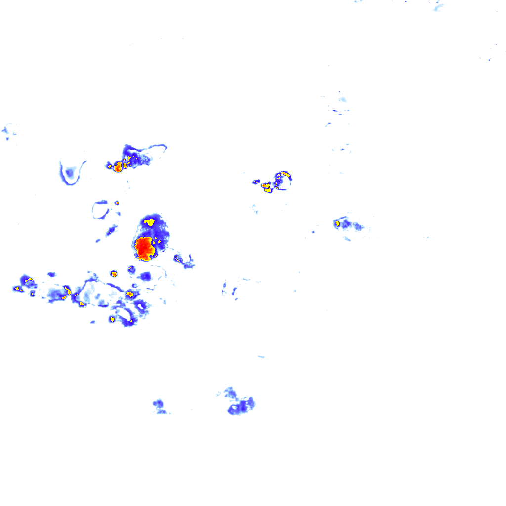 Image Layer