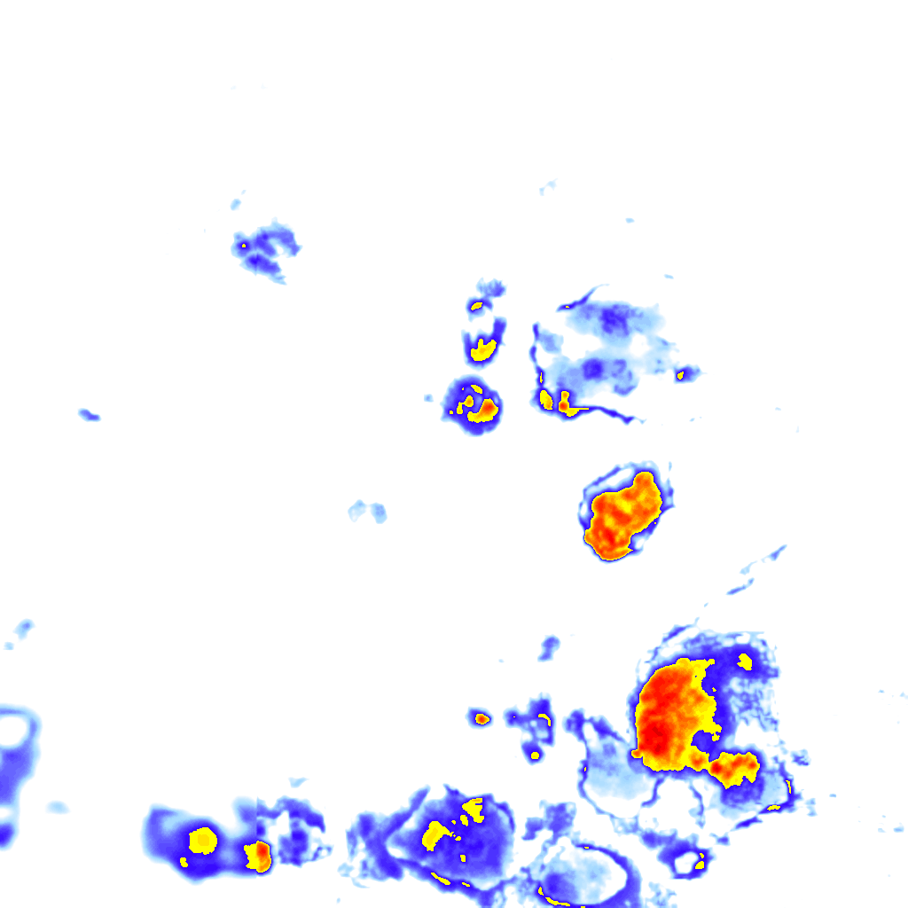 Image Layer