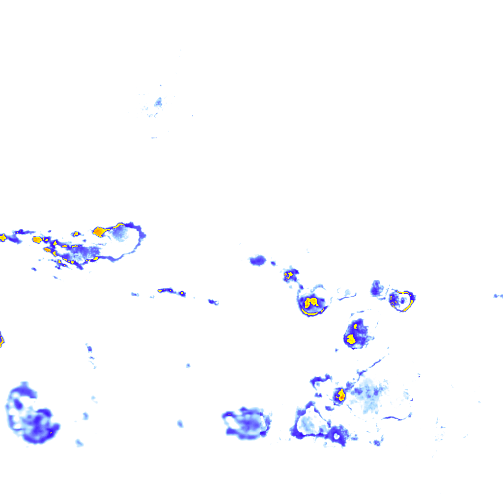 rainLayer