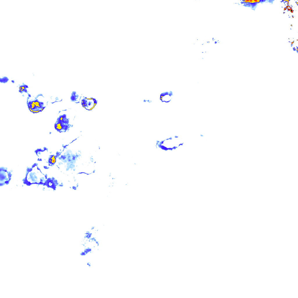 rainLayer