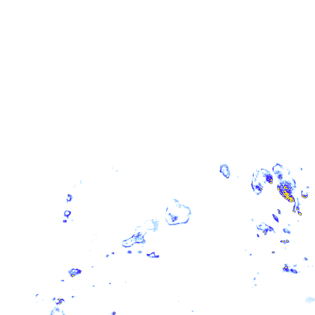 rainLayer