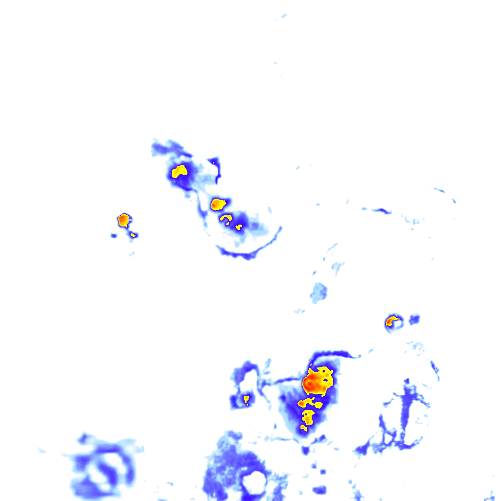Image Layer
