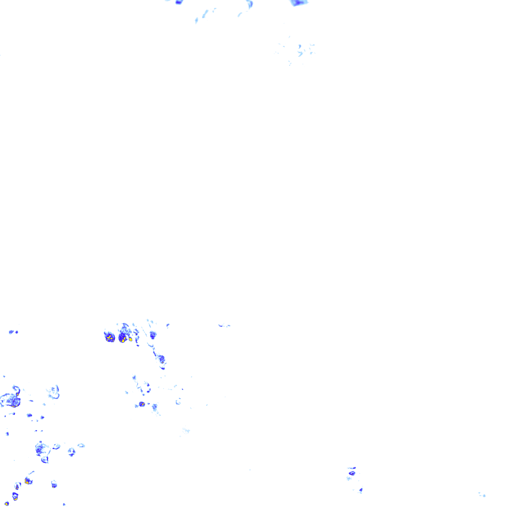 rainLayer