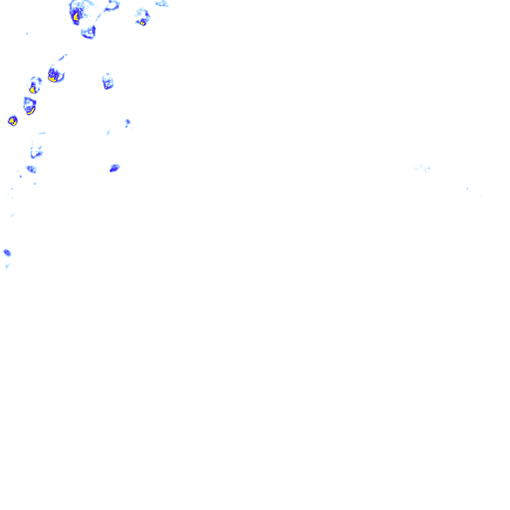 rainLayer