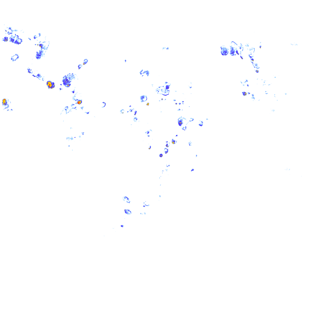 rainLayer