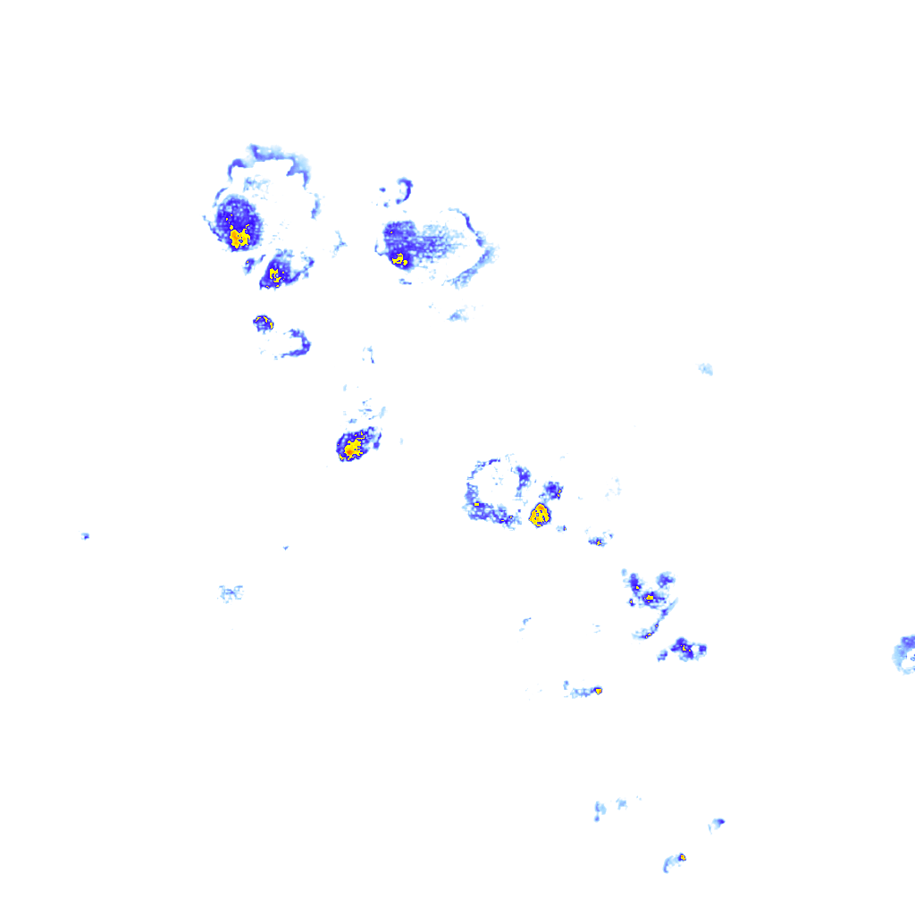 rainLayer