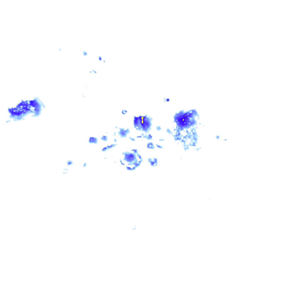 rainLayer