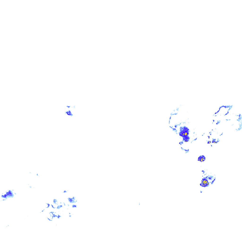 rainLayer