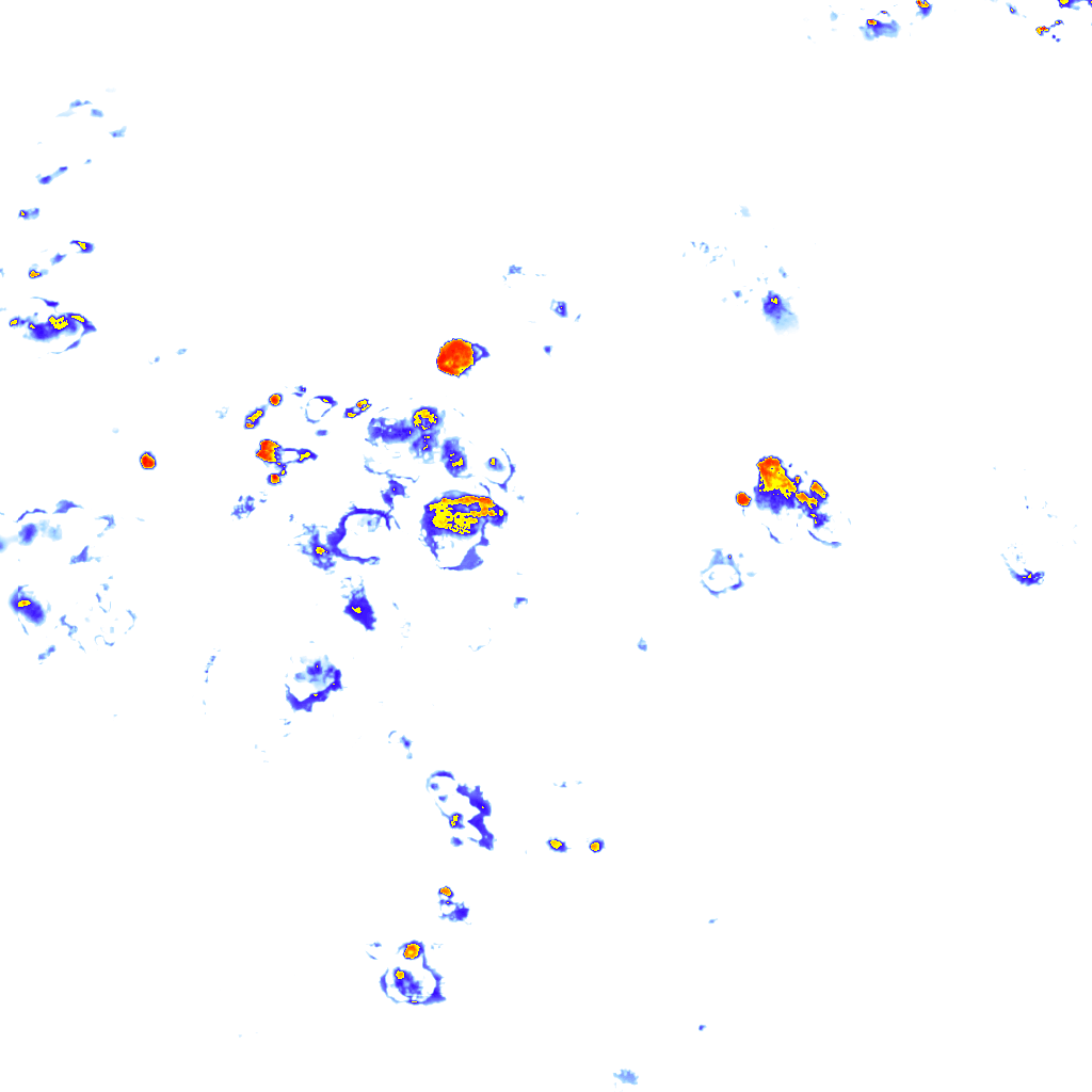 Image Layer