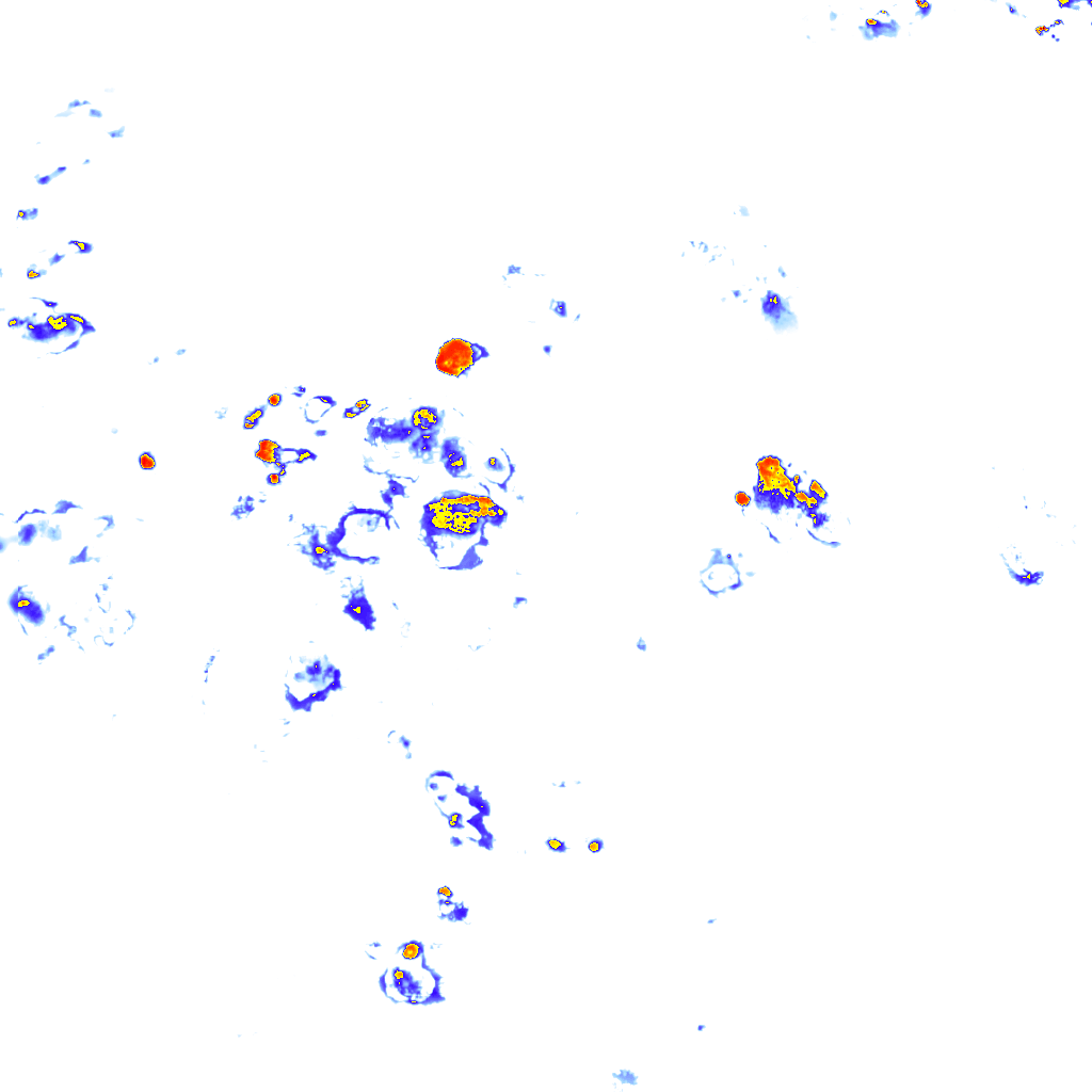 Image Layer