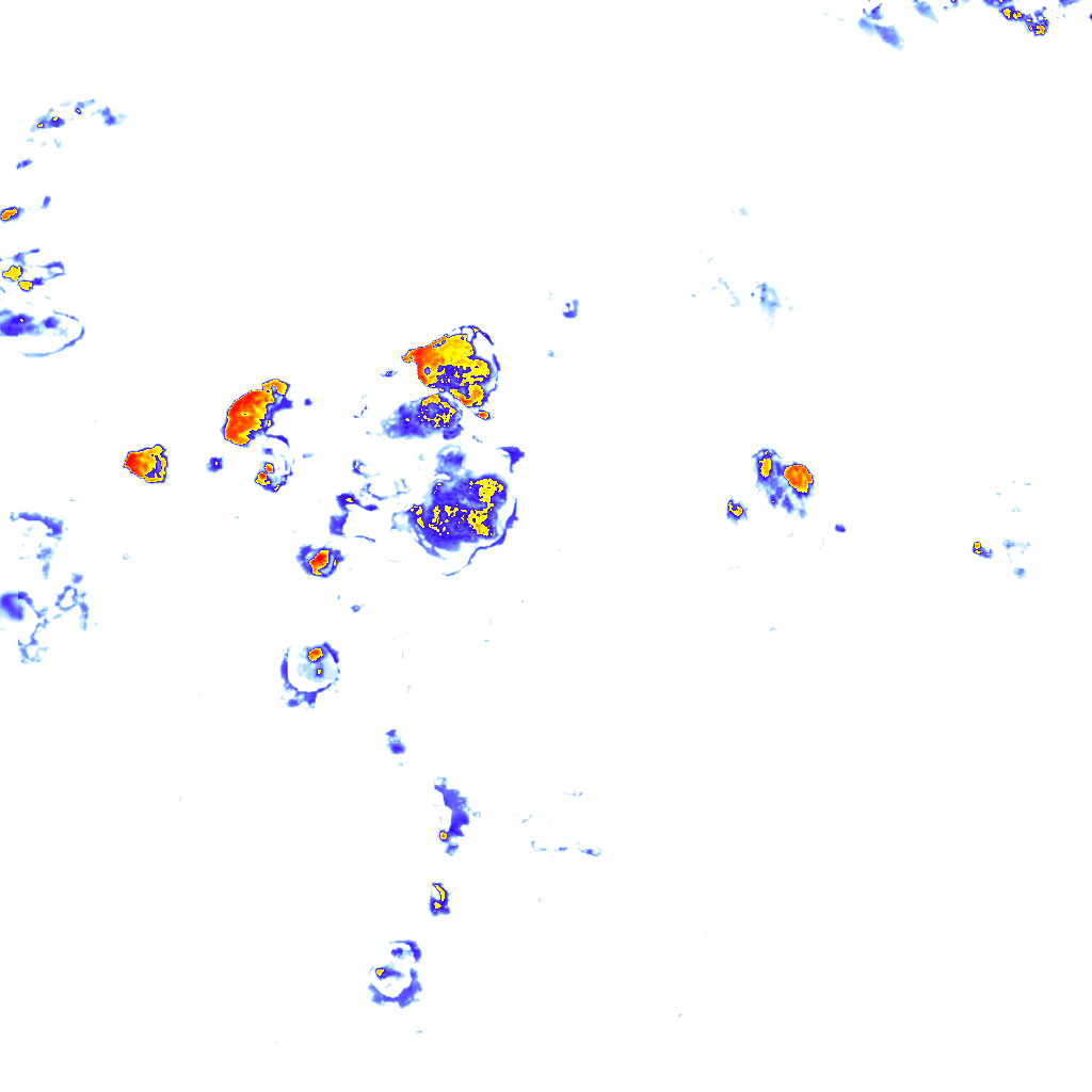 rainLayer