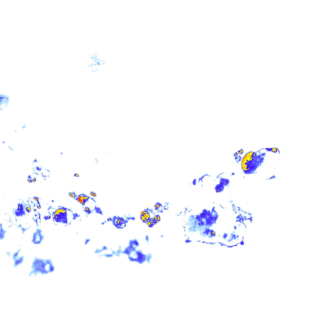 rainLayer