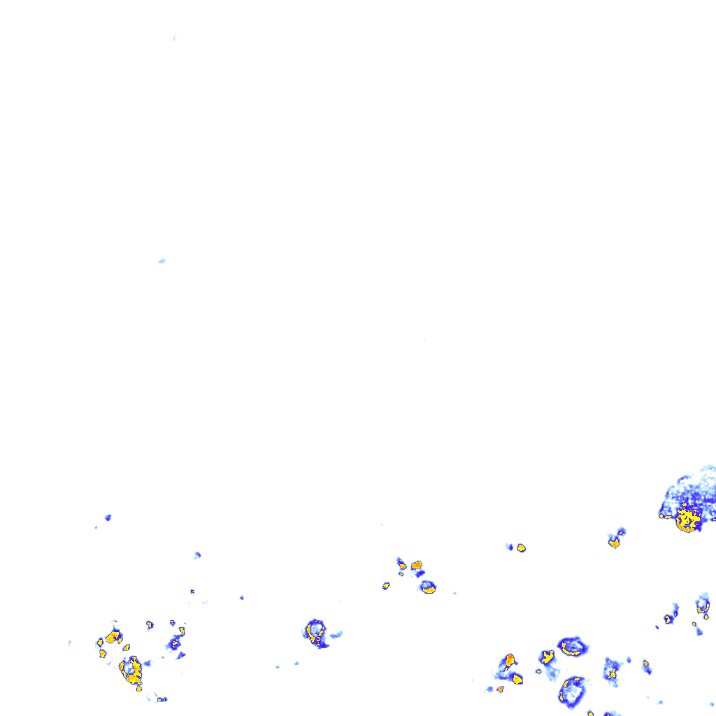 rainLayer