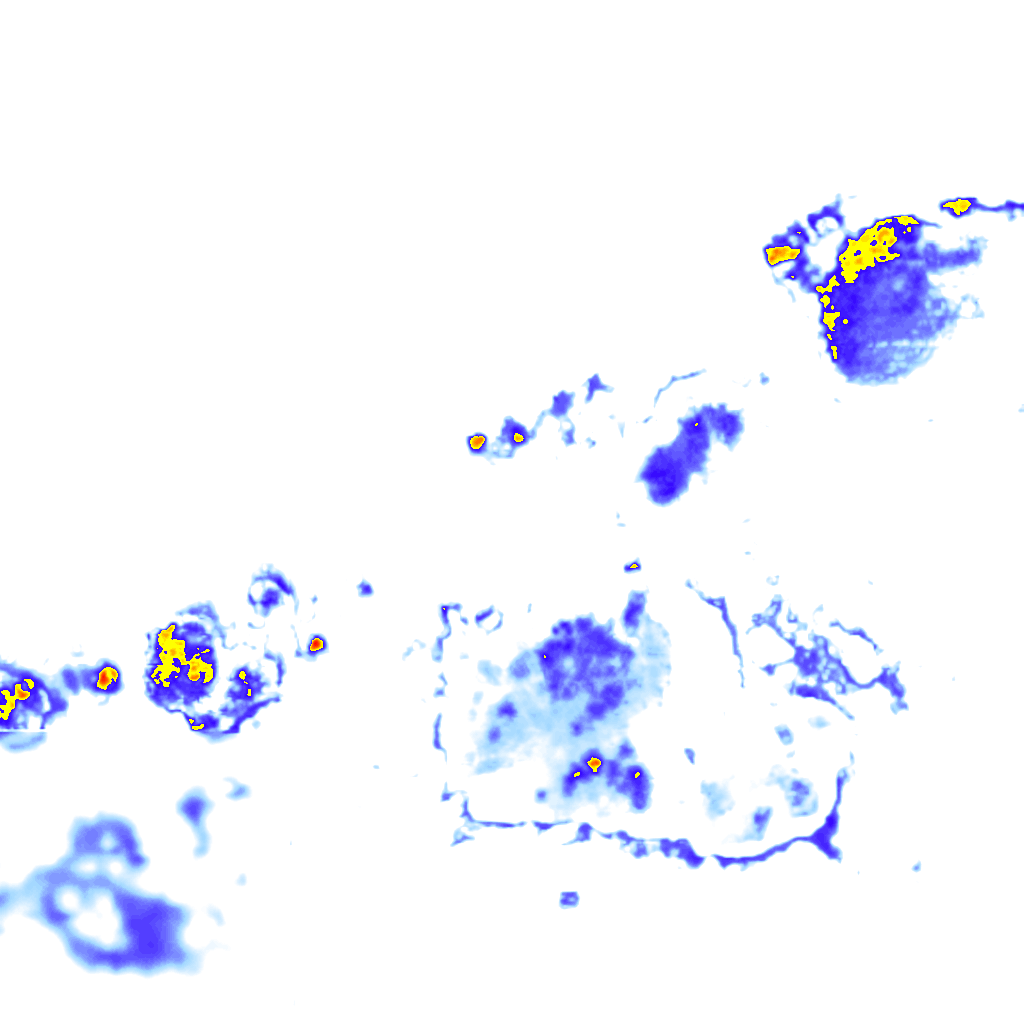 Image Layer