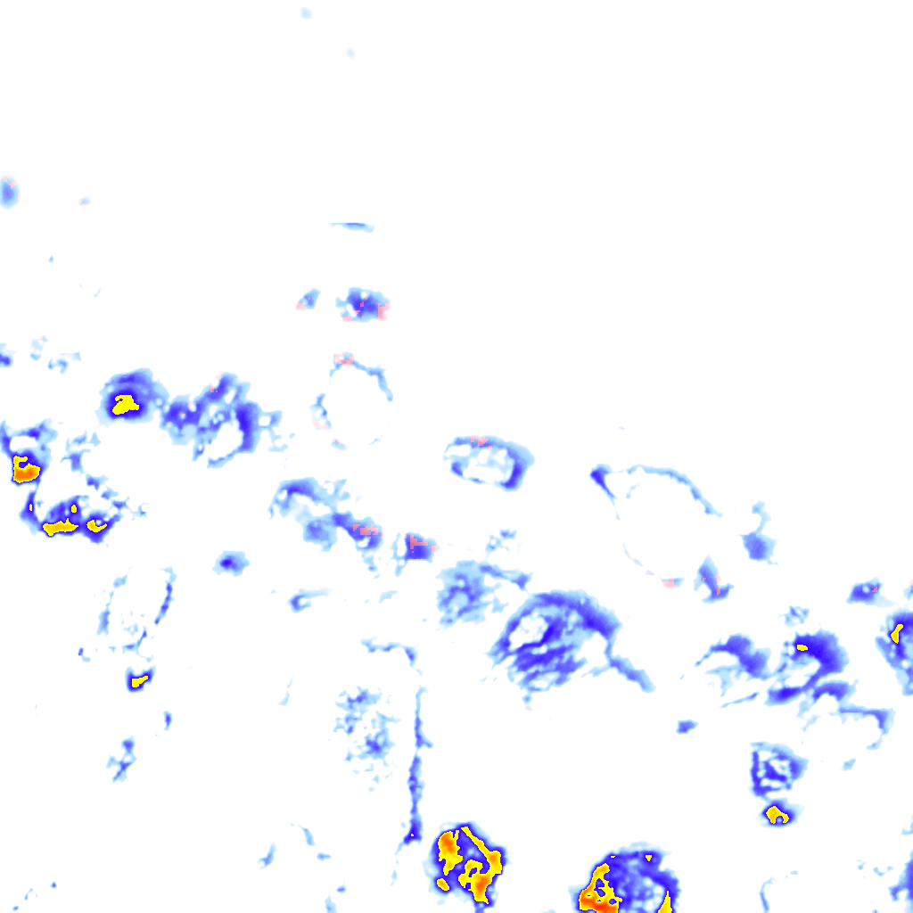 rainLayer