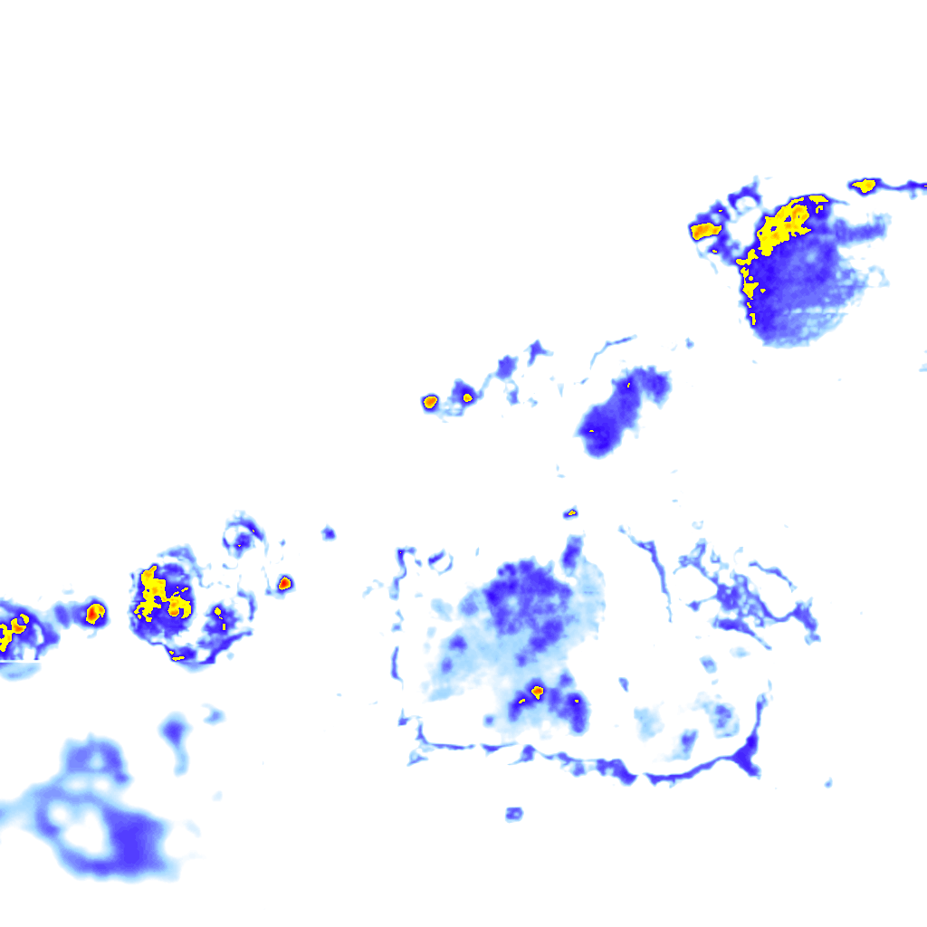 rainLayer