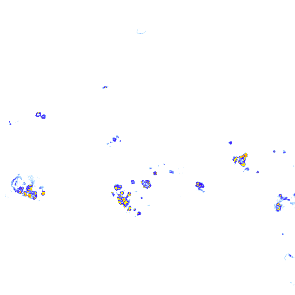 rainLayer