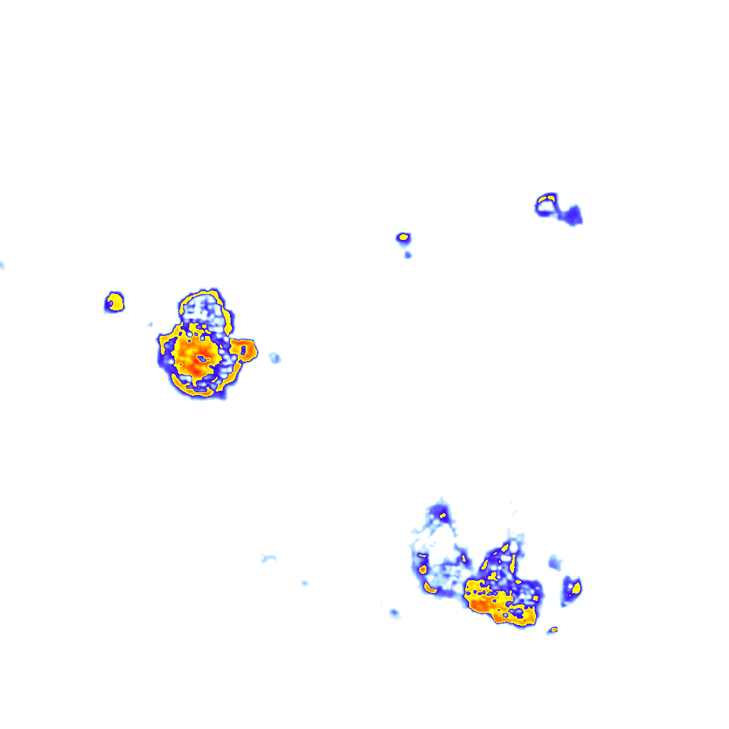 Image Layer