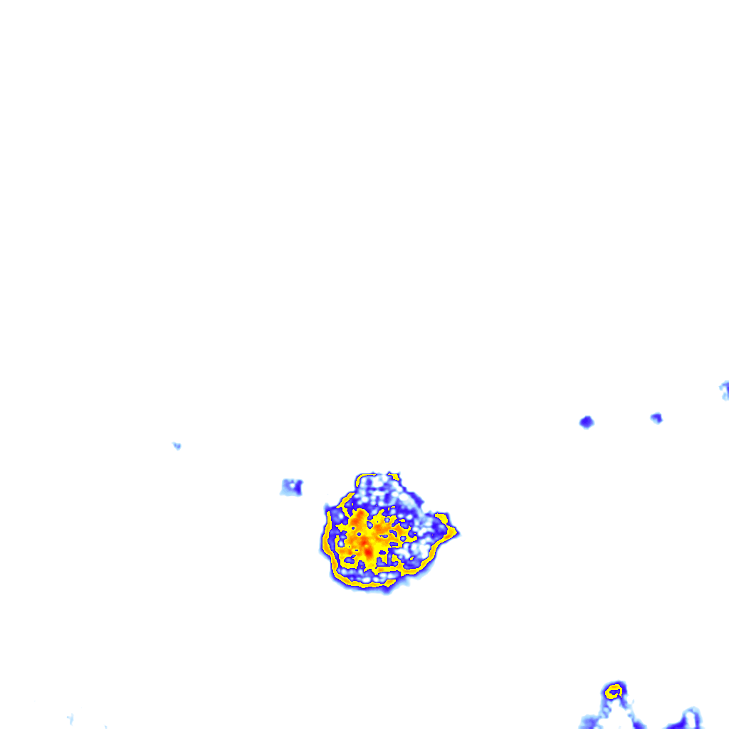 Image Layer