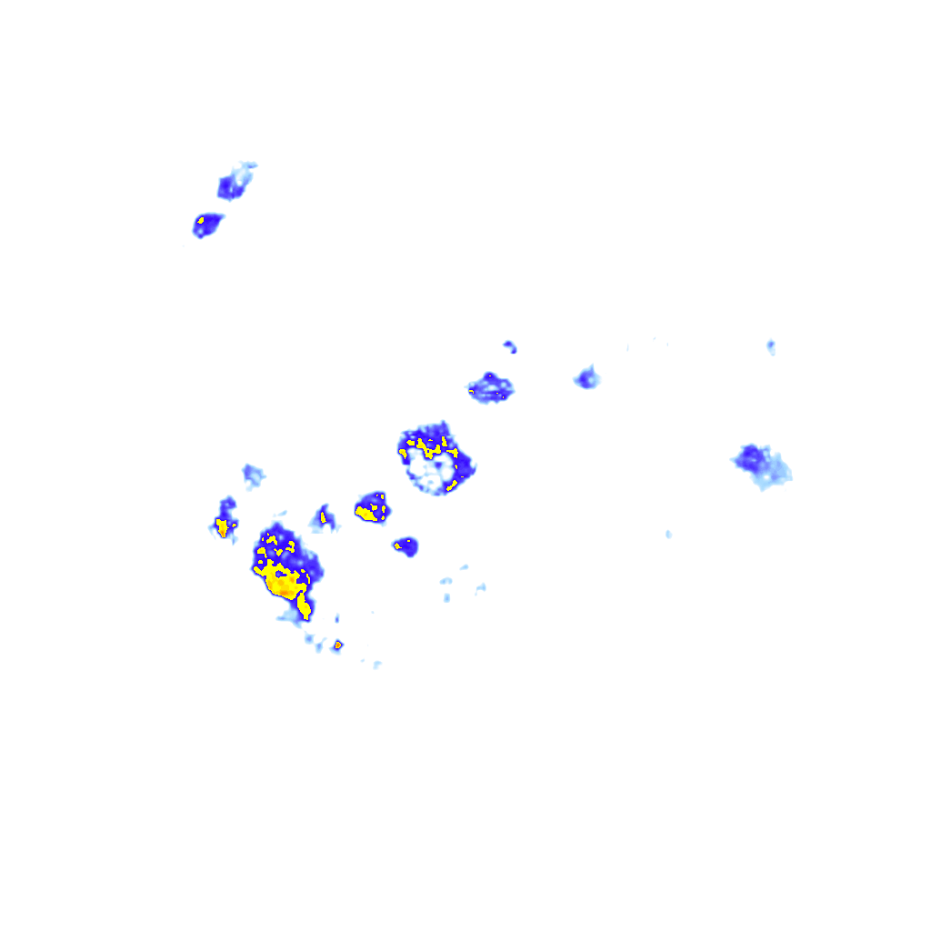 rainLayer