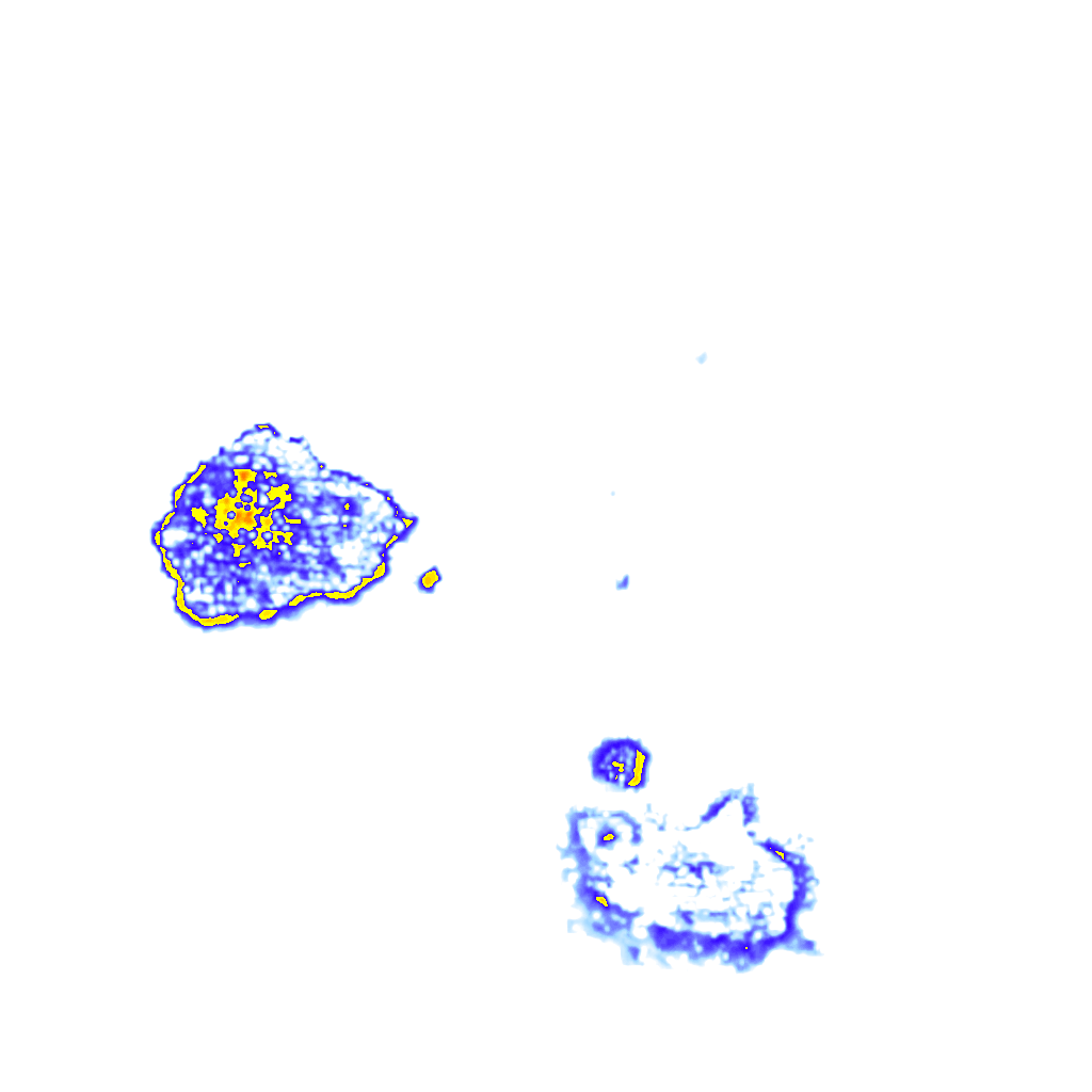 Image Layer