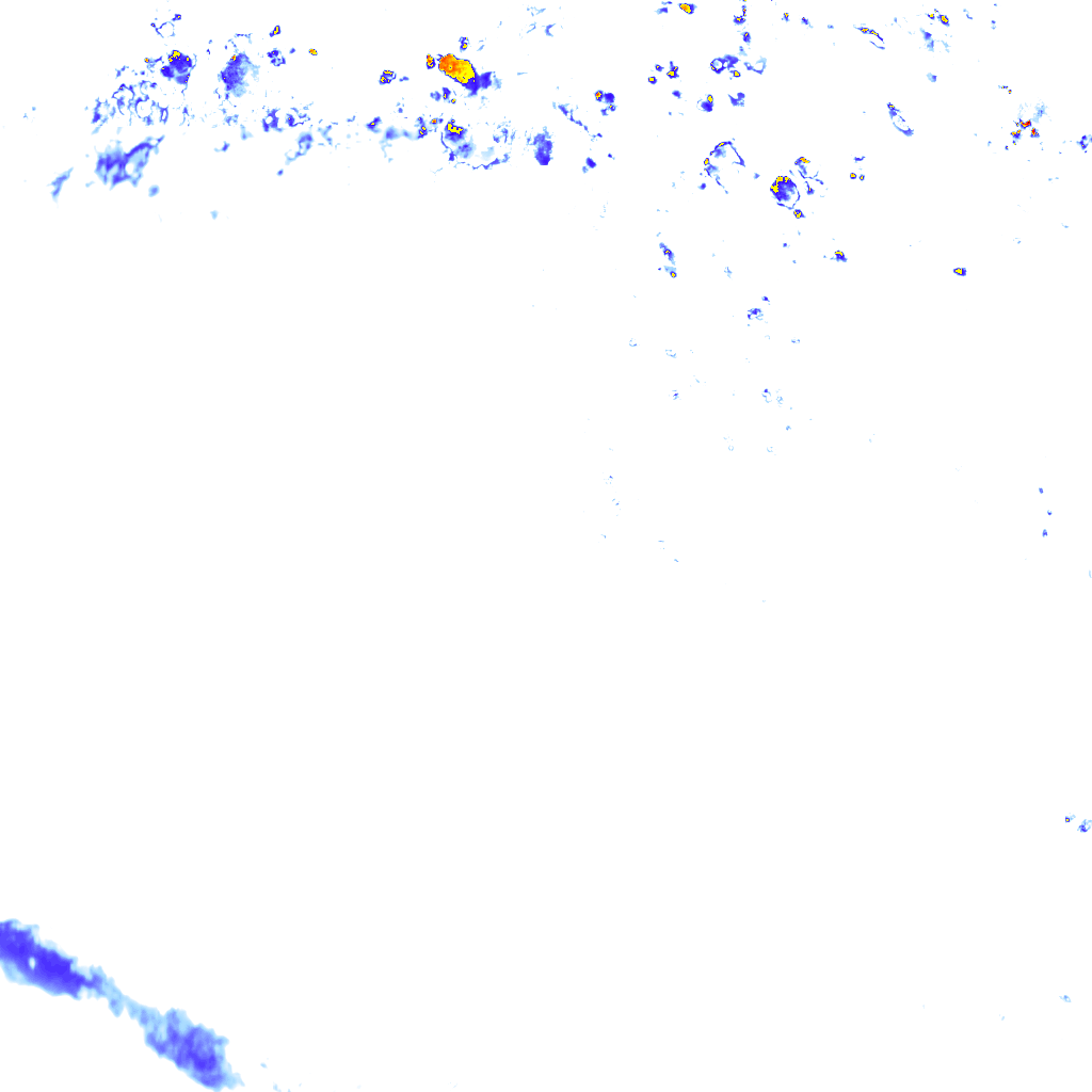 rainLayer
