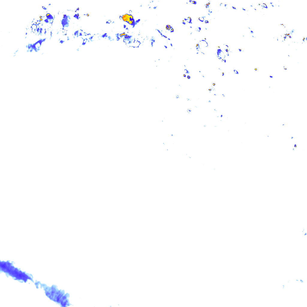 rainLayer