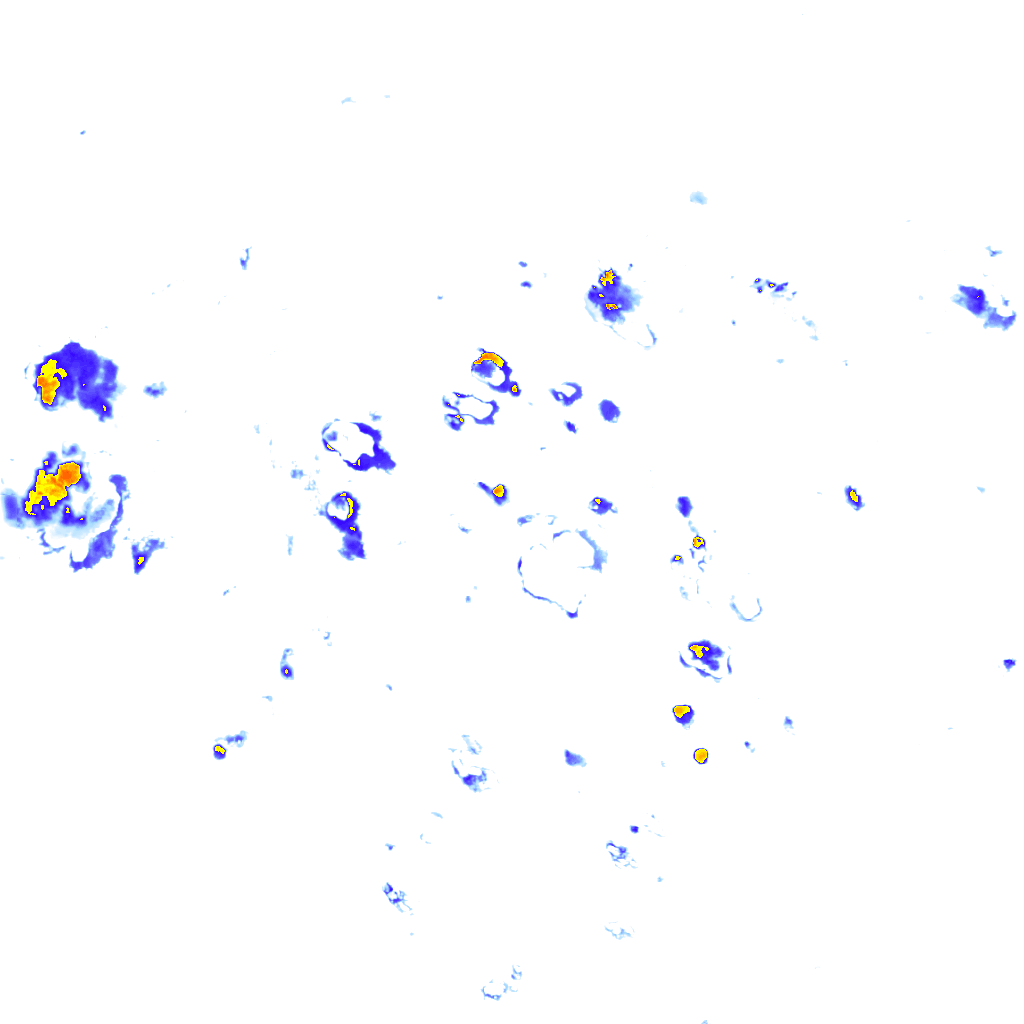 rainLayer