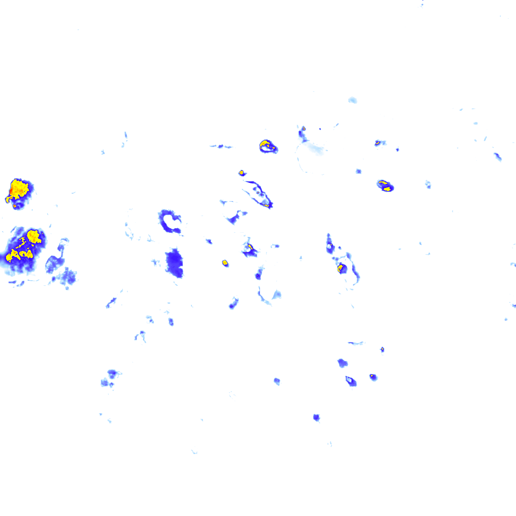 rainLayer
