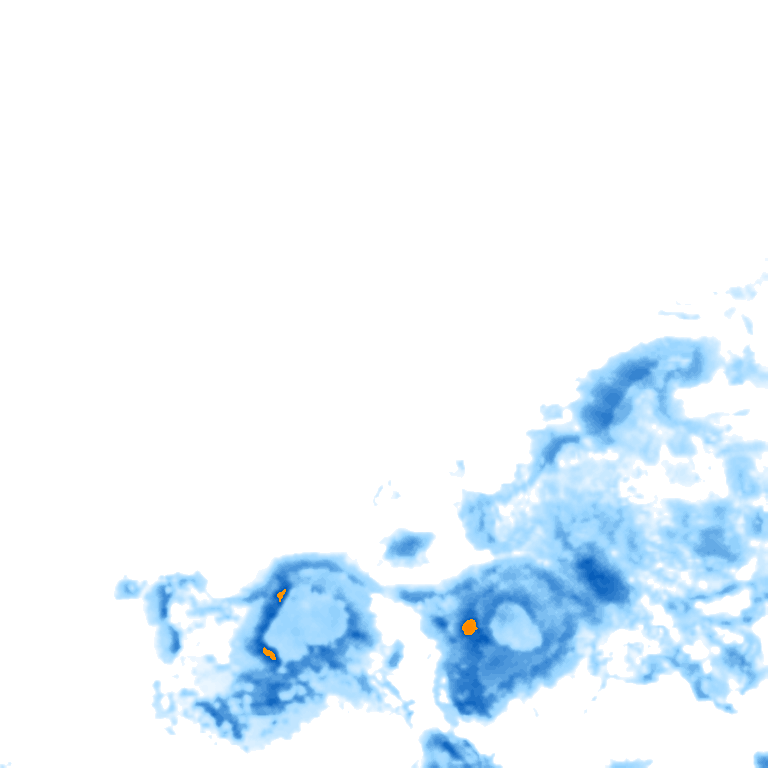 rain layer