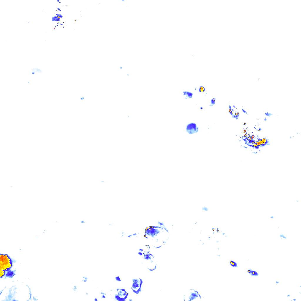 rainLayer