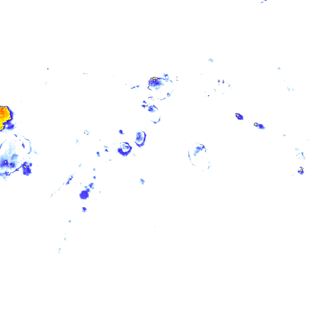rainLayer
