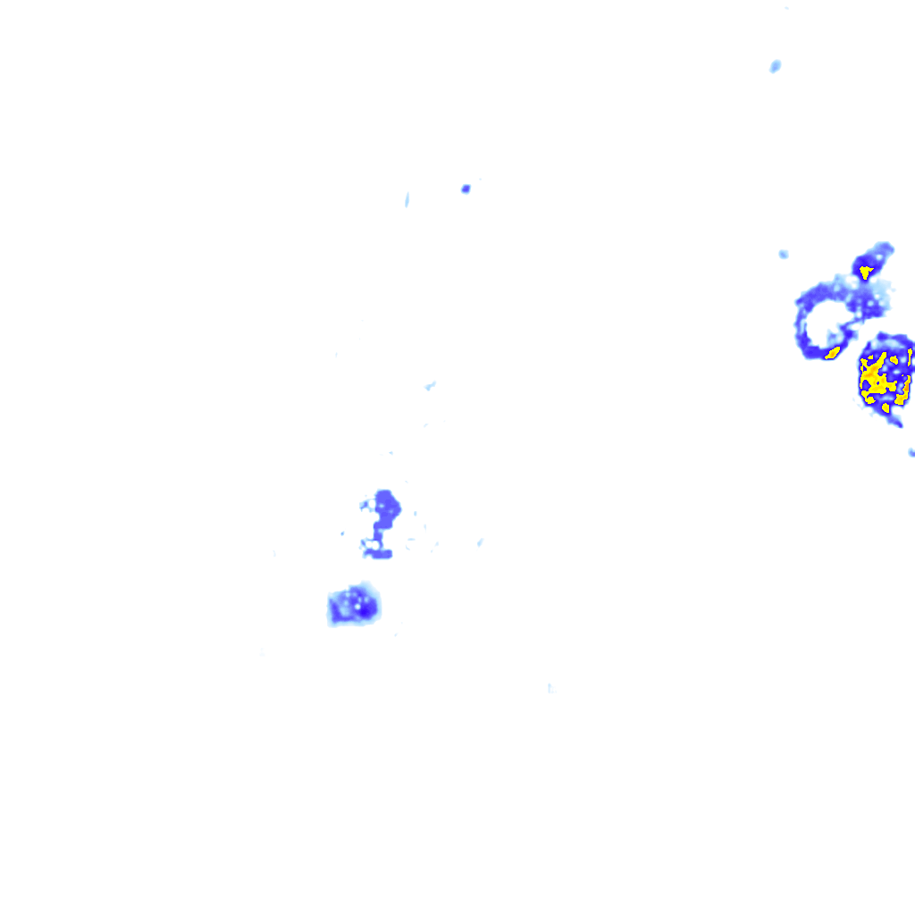 rainLayer