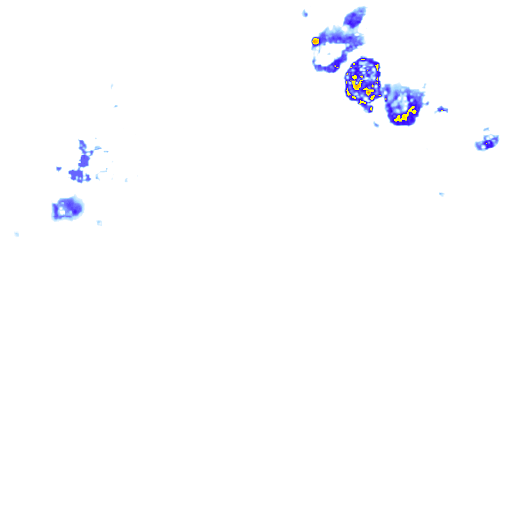 rainLayer