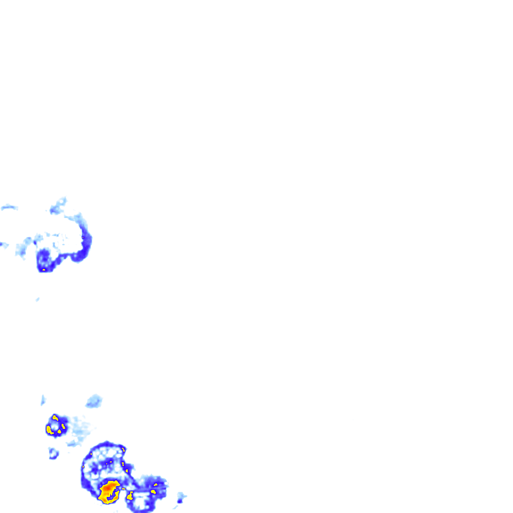 rainLayer