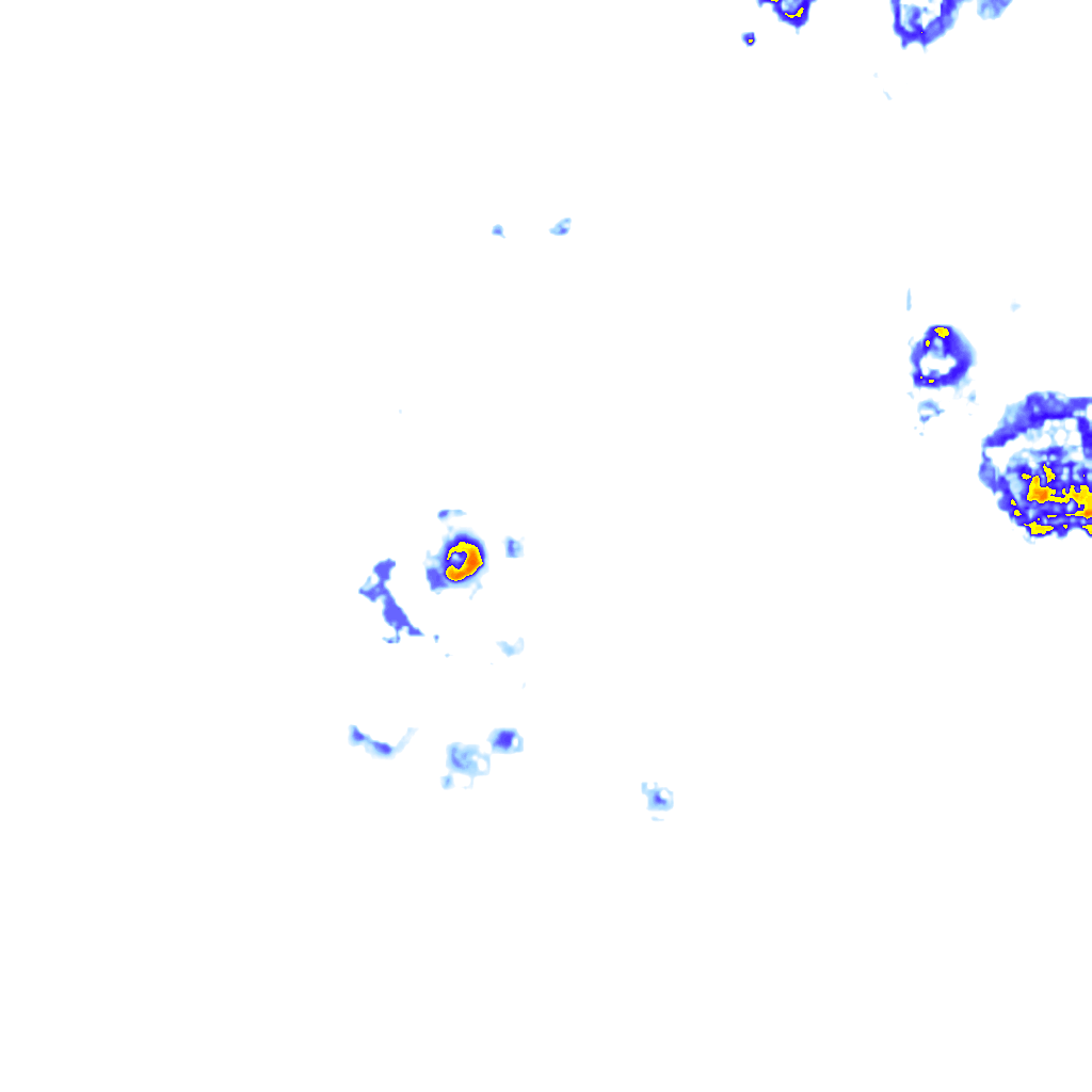 Image Layer