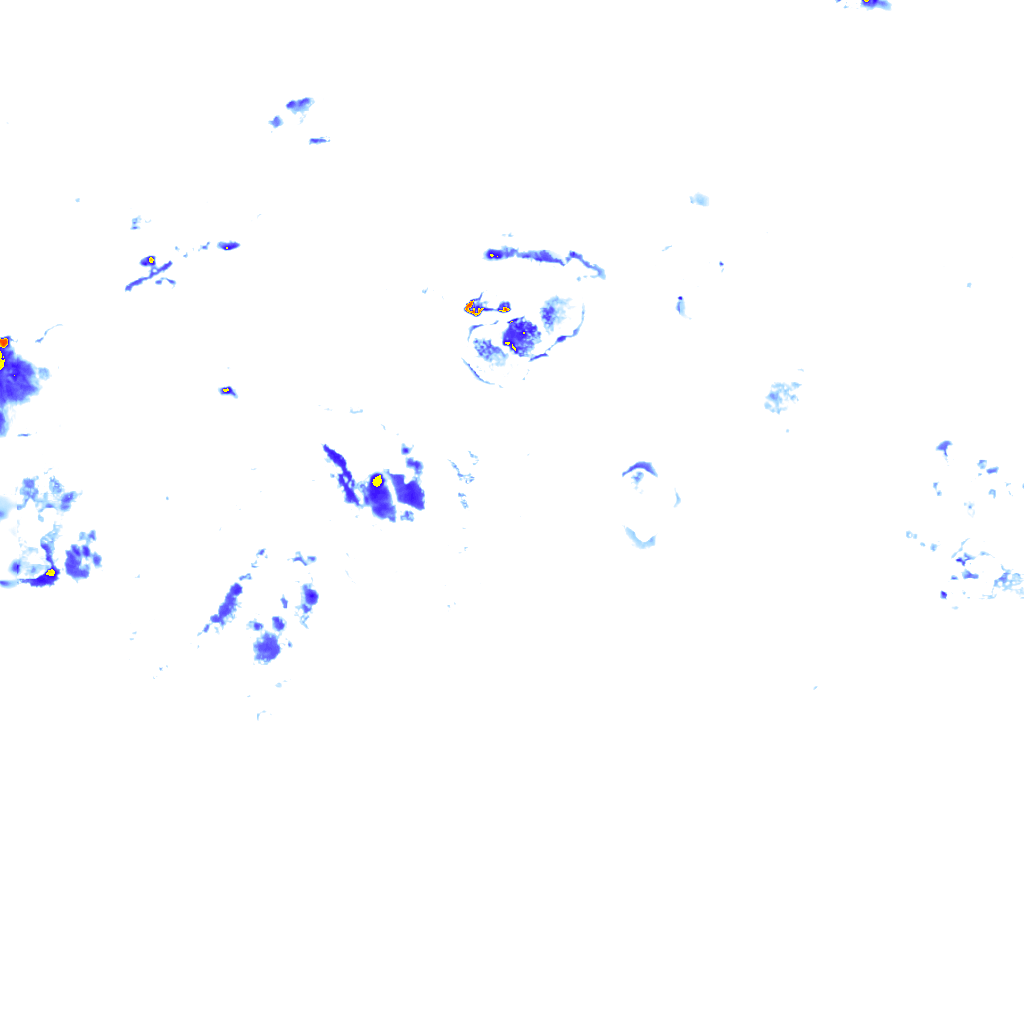 Image Layer