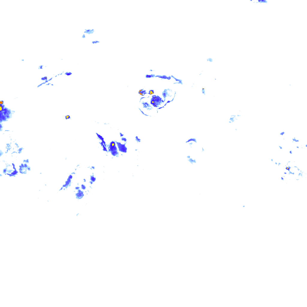 rainLayer