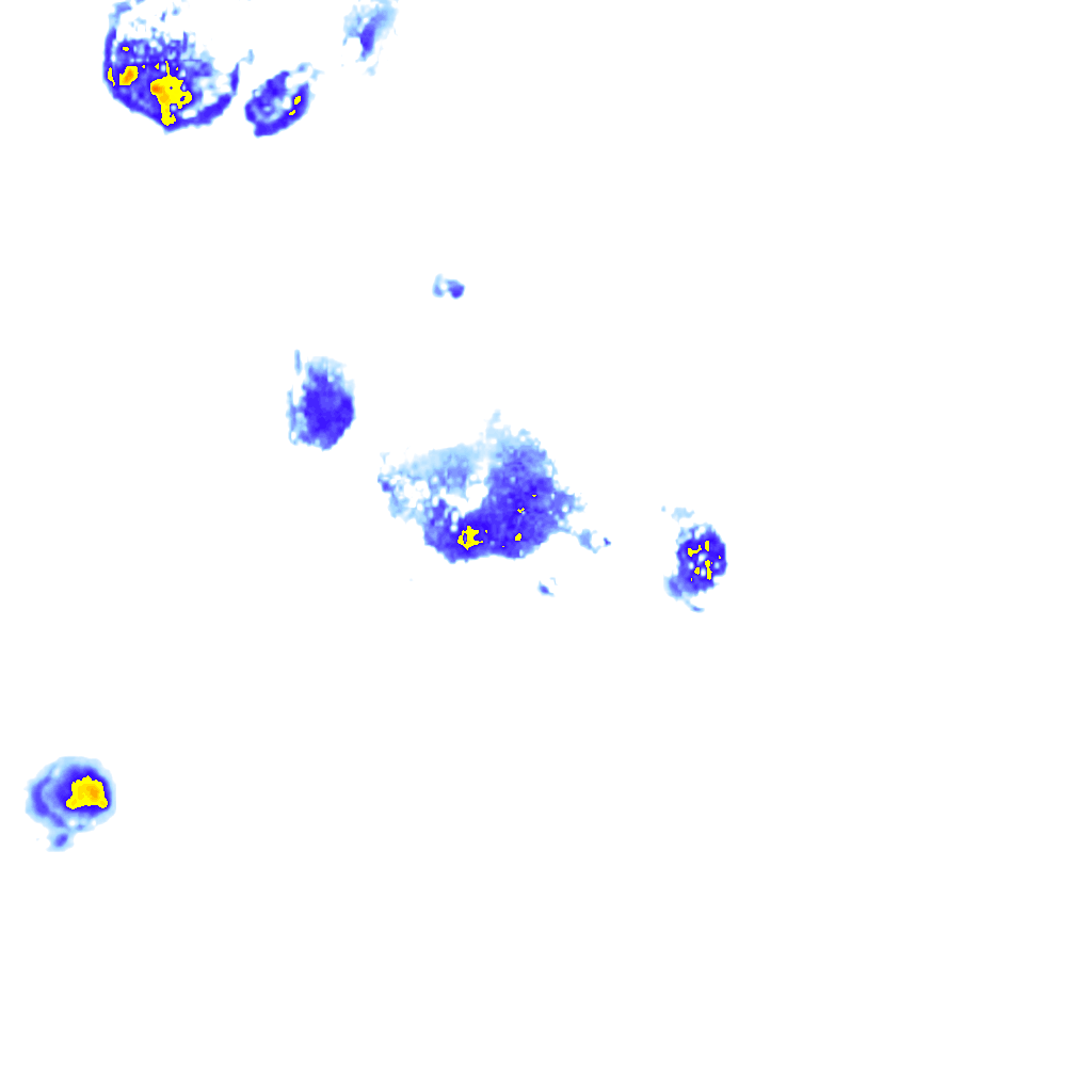 Image Layer