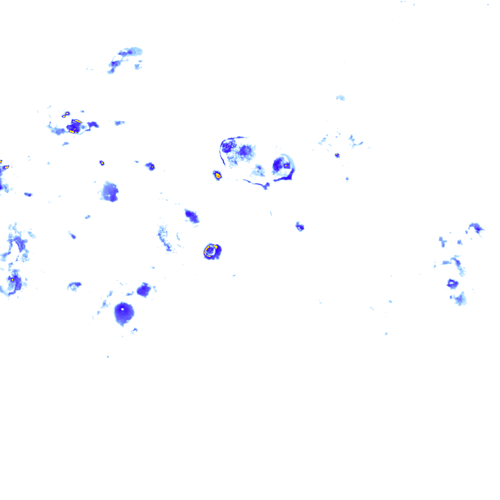Image Layer