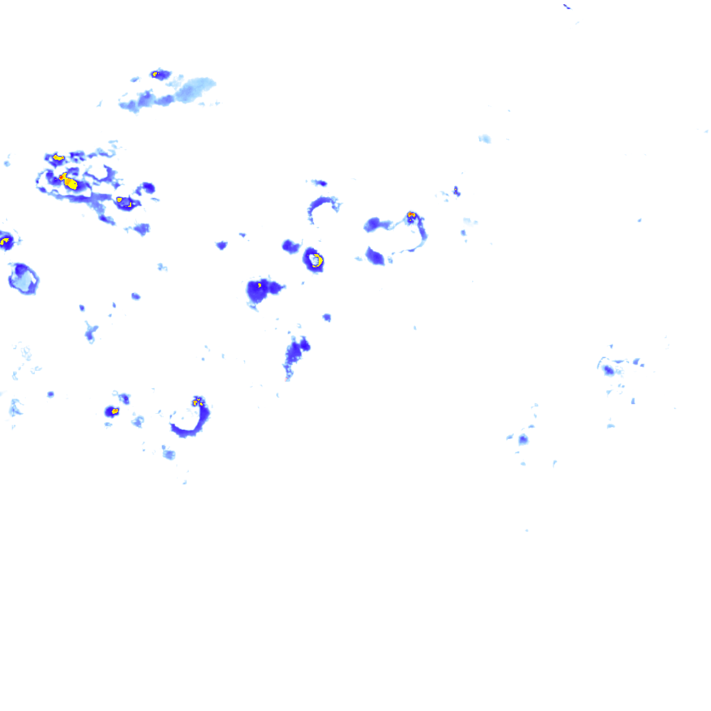 rainLayer