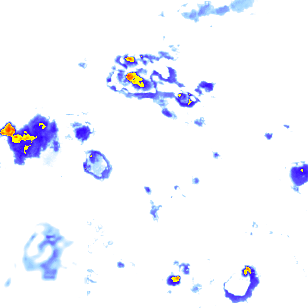 Image Layer