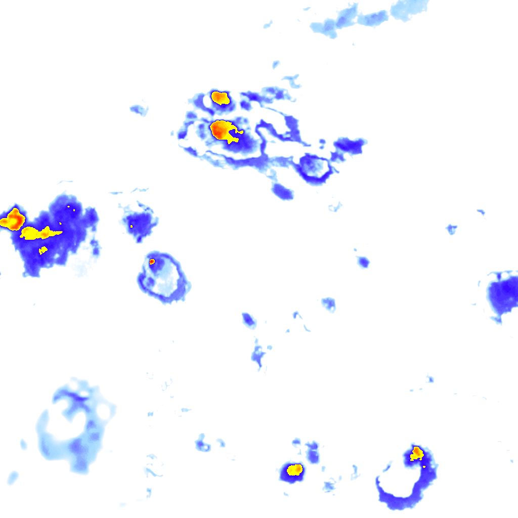 Image Layer
