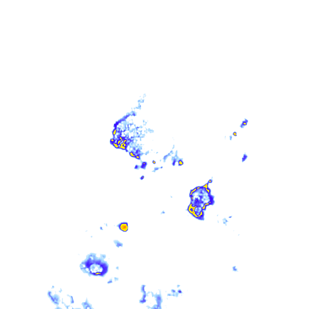 Image Layer