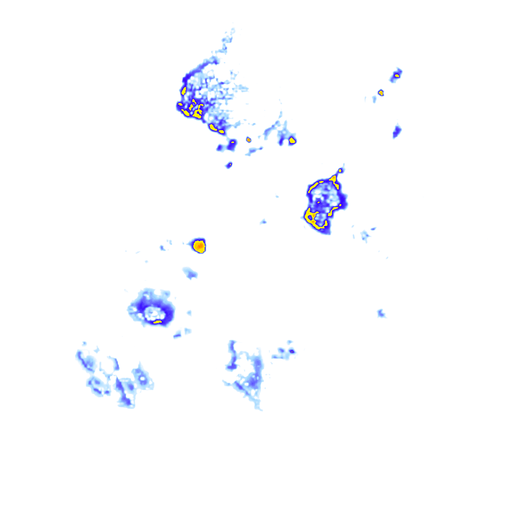 Image Layer
